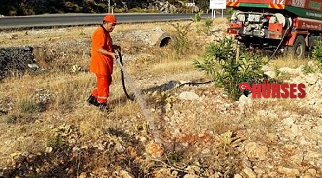 Hatıra ormanına bakım yapıldı 