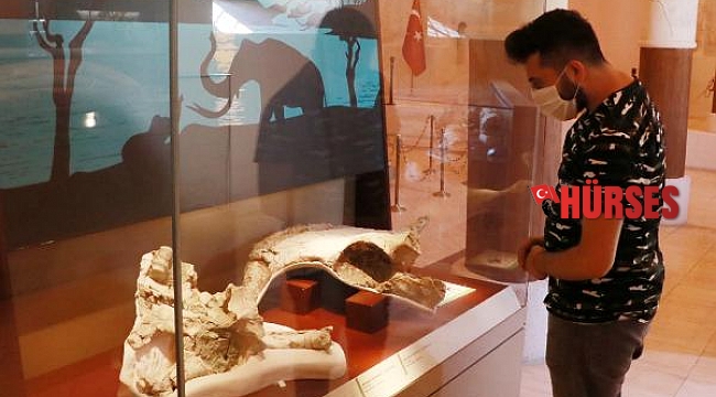 İki milyon yıllık fosiller, burada sergileniyor