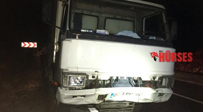 Kamyon 27 küçükbaş hayvanı biçti