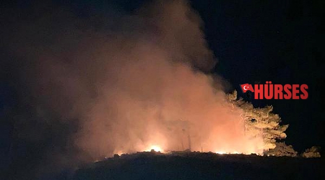 Kaş'ta orman yangını büyümeden söndürüldü