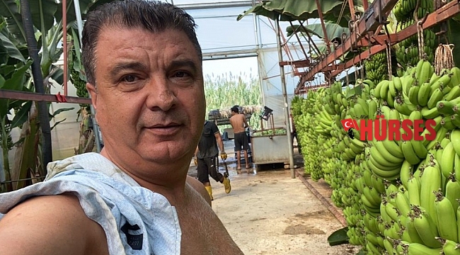 Serasında bir hevenkte 134 kilogram muz öretti