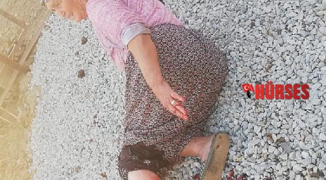 Sokak köpeğinin saldırısına uğrayan yaşlı kadın canını zor kurtardı