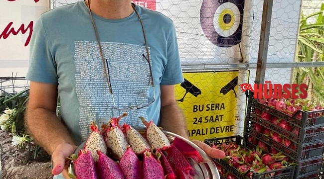 Tropikal meyvenin yeni gözdesi Aksu