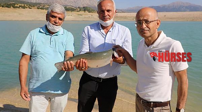 Türk somonu hasadı başladı