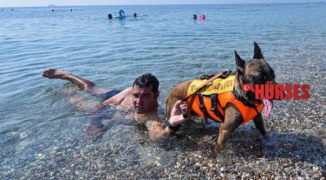 Türkiye'nin ilk cankurtaran köpeği Fox