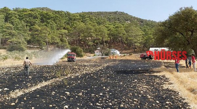 Yangın ormana sıçramadan söndürüldü