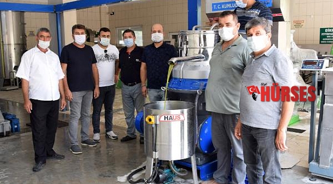 Zeytinyağı fabrikasında deneme üretimi