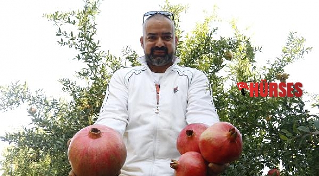 1 kilo 649 gramlık nar, görenleri şaşırtıyor