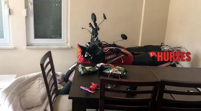 Alanya'da motosiklet hırsızı 4 Norveçli yakalandı