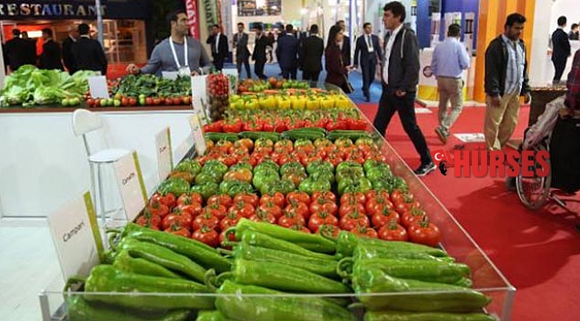 ANFAŞ'a geçici çözüm