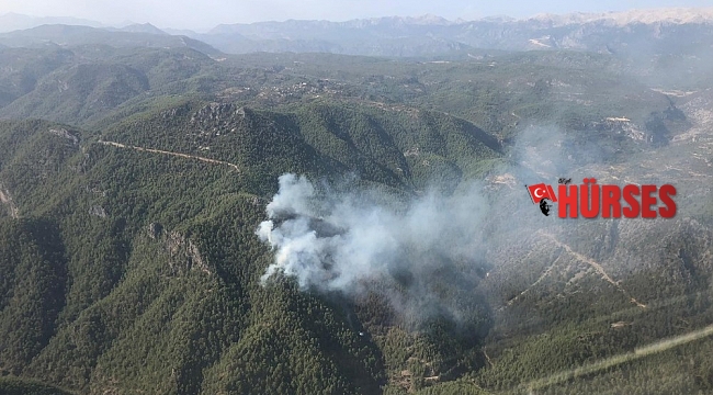 Antalya'daki yangında 10 hektarlık orman yandı