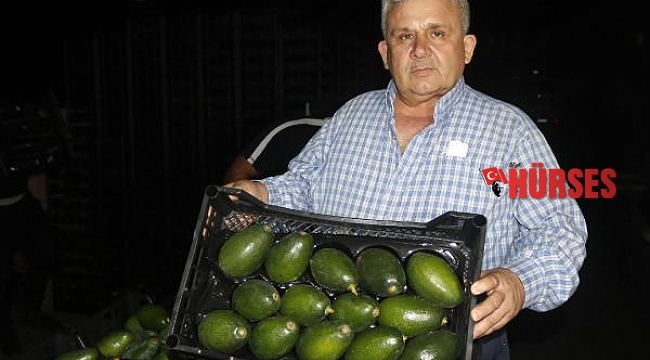 Antalya'dan Rusya'ya 35 bin avokado
