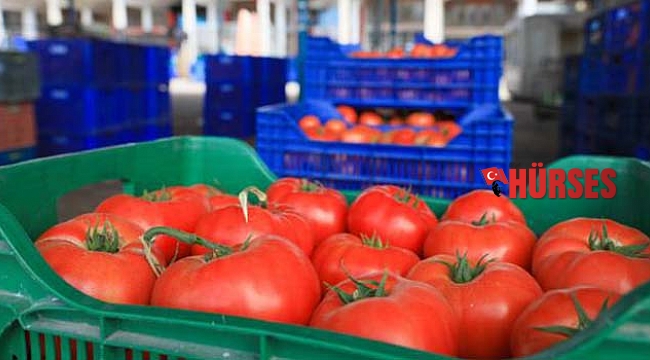 ATB, aylık sebze meyve endeksini açıklayacak