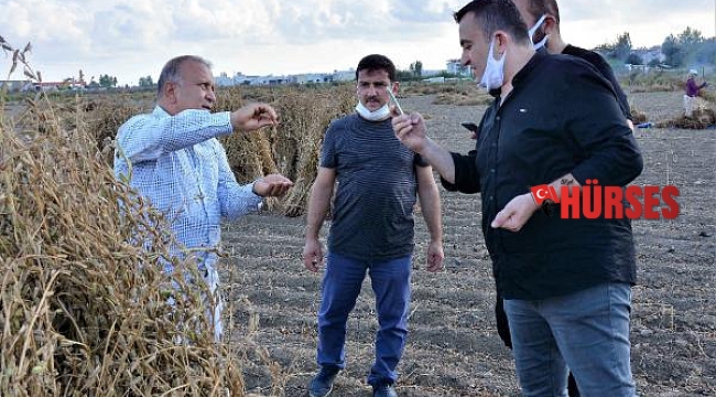 Başkan Boztaş: Manavgat susamı farklı