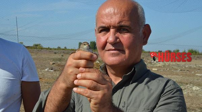 Boğazkent'te halkalandı, Finlandiya'da yakalandı