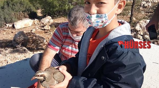 Doğaya keklik bırakıldı
