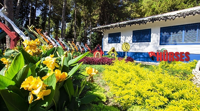 DokumaPark çiçek açtı