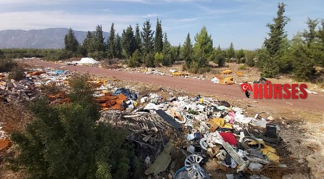 Döşemealtı'nda çevre faciası