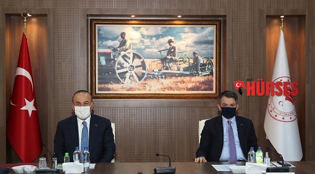 'Expo'nun kaderi şubatta belli olacak'