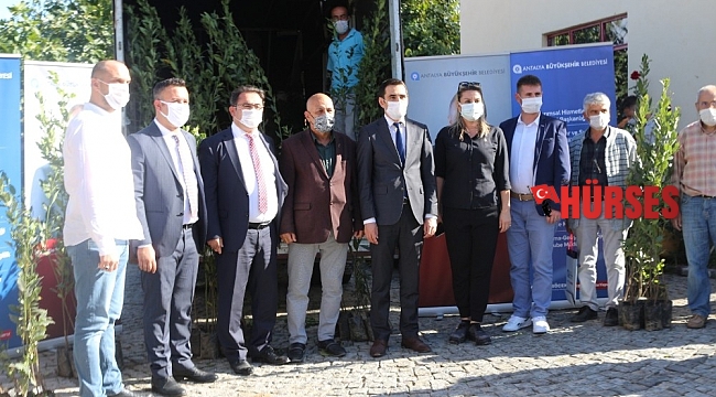 İbradı'da çiftçiye zeytin ve defne fidesi dağıtıldı