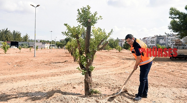 Kepez'e 3 milyon 200 bin metrekare yeşil alan