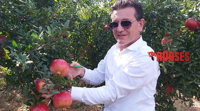 Milletvekili Uslu, nar hasadında