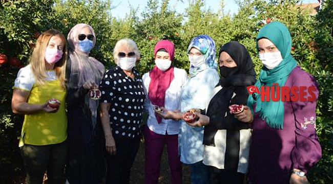 Nar için kolları sıvadılar