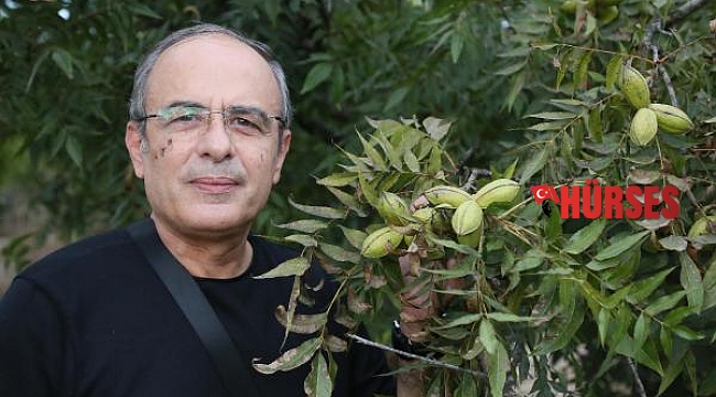 Rus iş insanından 300 dönüme 'pikan' yatırımı