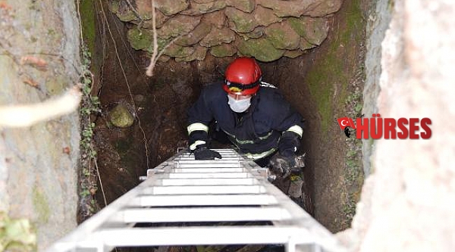 Sulama kuyusuna düşen yavru kediyi itfaiye kurtardı