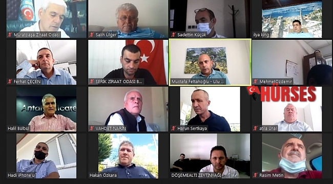Zeytinde Yüzde3-40 rekolte kaybı