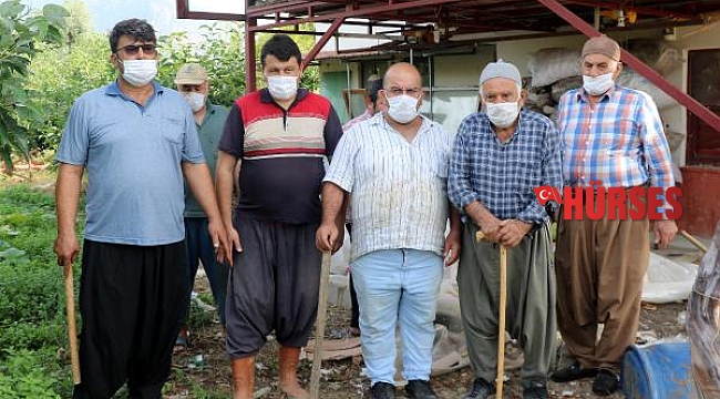 Alanyalı avokado üreticisi, hırsıza karşı sopalı nöbette