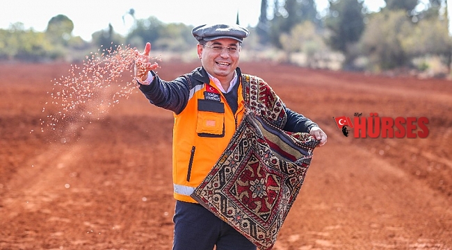 Antalya Orman Çiftliği'ne 10 ton ekmeklik buğday ekildi