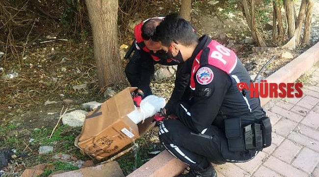 Bebek cesedi sanılan çarşafın içindeki kedi ölüsüymüş