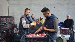 Elmada hareket başladı
