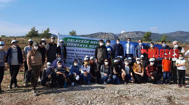 Kaş'ta fidanlar toprakla buluştu