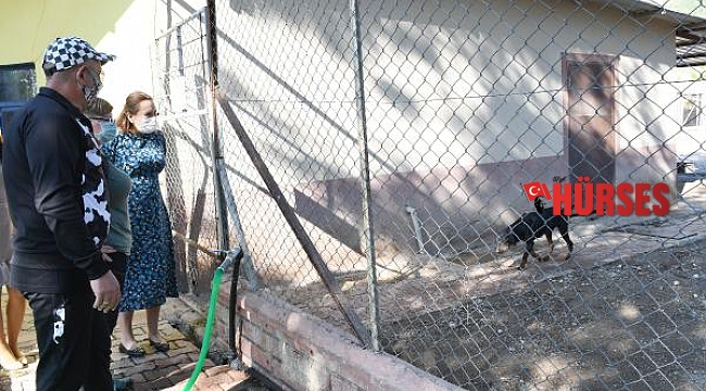 Kemer Belediyesi'nden kardeş barınak projesi