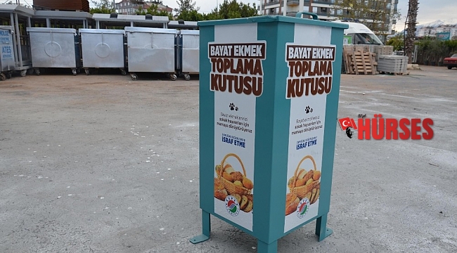Kepez'de bayat ekmekler sokak hayvanlarına mama olacak