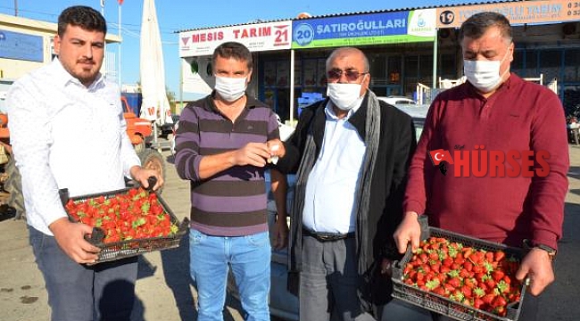 Kilosu 20 liraya satılan sezonun ilk çileğine çeyrek altın ödülü