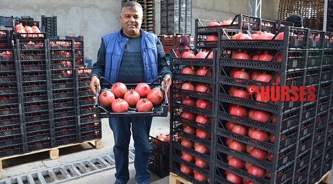 Korkuteli'den nar ihracatı