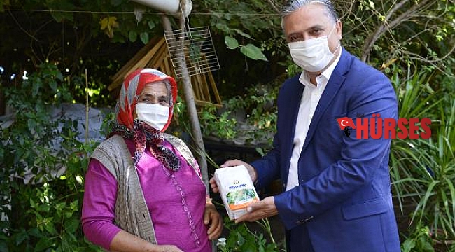Muratpaşa mısırı, 13 bin paket un oldu, vatandaşa dağıtılıyor