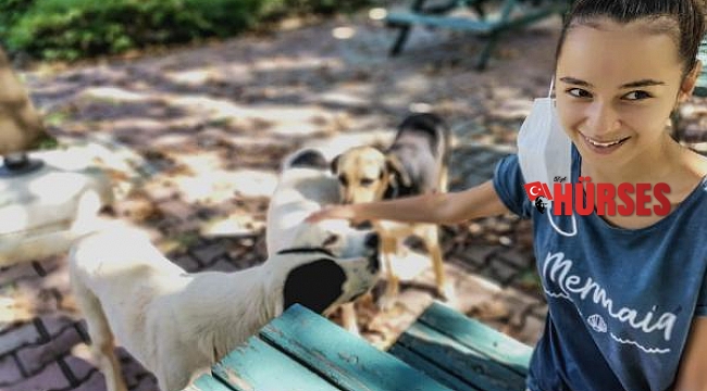 Öğrencilerin boşalttığı kampüs, kedi ve köpeklere kaldı