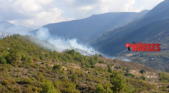 Özel ağaçlandırma sahasında yangın