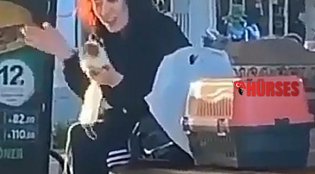 Sokakta hamsterı tokatlayıp, ısırmaya kalkışan kadına para cezası