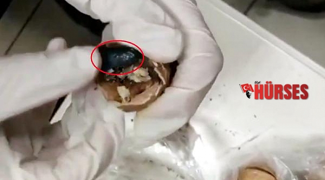Uyuşturucuyu ceviz içine gizlemiş