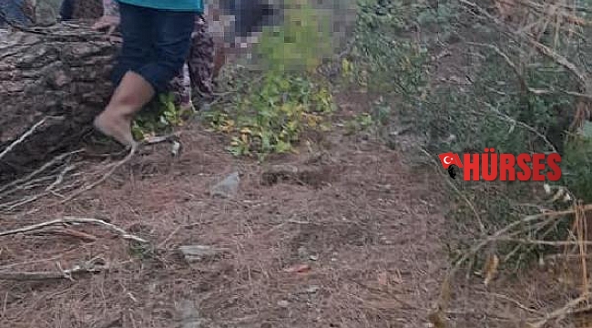 Yuvarlanan tomrukların altında kalarak can verdi