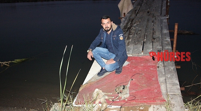 2 yavru kuzuyu ayaklarına ip bağlayıp Manavgat Irmağında ölüme terk ettiler