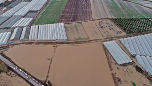 Antalya'da sel 9 bin 530 dekar ekili alana zarar verdi
