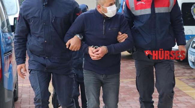 Bahçelerden 260 bin TL'lik avokado çalan hırsız yakalandı