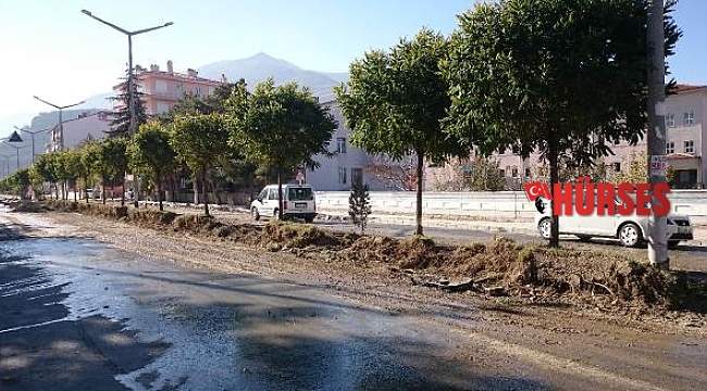 Başkan Atlı: Sökülen ağaçlar farklı alanlara dikildi