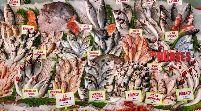'Çiftlik balığında plastik birikimi daha az'
